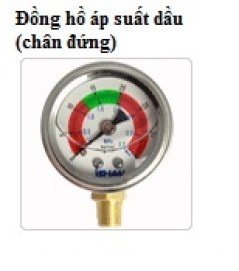 dong-ho-ap-suat dau-chan-dungjpg